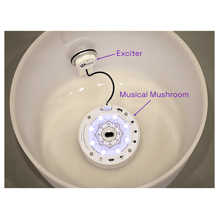 Musical Mushroom Triple Set - Image 8