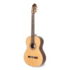 APC Classical Guitar 8 CYP