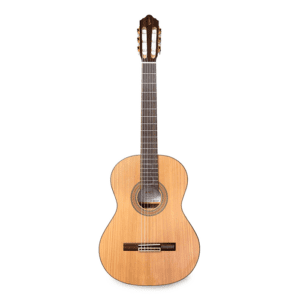Alternative view of APC Classical Guitar 8 CYP