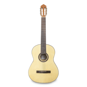 Alternative view of APC Flamenco Guitar