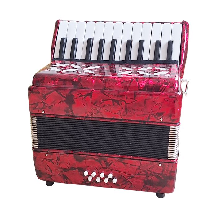CT Piano Accordion 22 Key