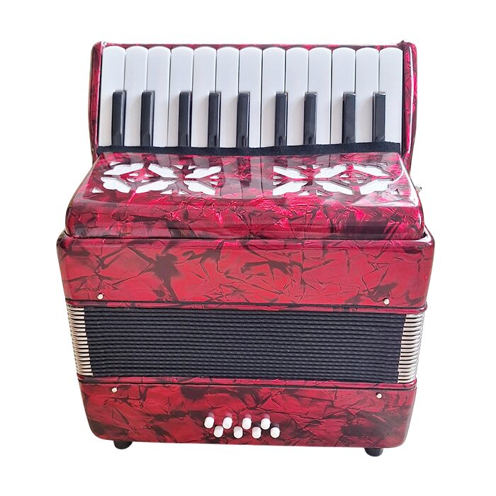 CT Piano Accordion 22 Key - Image 3