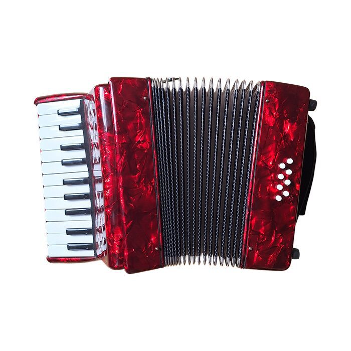 CT Piano Accordion 22 Key - Image 2
