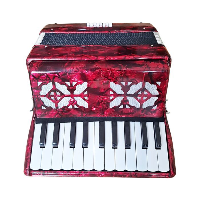 CT Piano Accordion 22 Key - Image 4