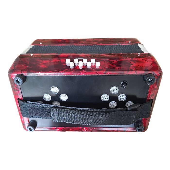 CT Piano Accordion 22 Key - Image 5