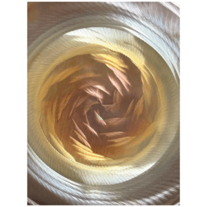 Alternative view of Grotta Sonora 15″ Nickel-Silver Gong 2